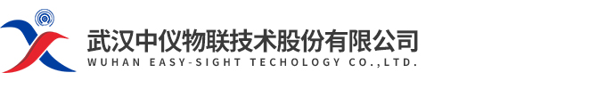 武汉中仪物联技术股份有限公司